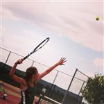 5/7/14 - Team State Tournament Quarterfinals: Basha v. Desert Vista